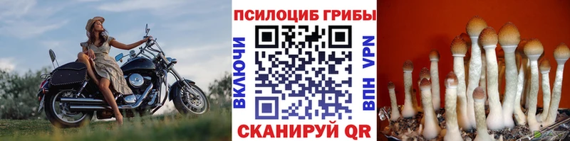 Галлюциногенные грибы мицелий  ОМГ ОМГ ТОР  Мантурово 